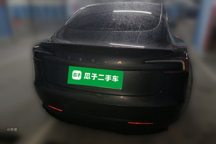 Tesla Model 3 2024 car image #6