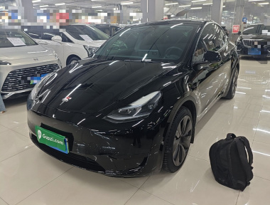 Tesla Model Y 2023 Tesla Model Y 2023 car image