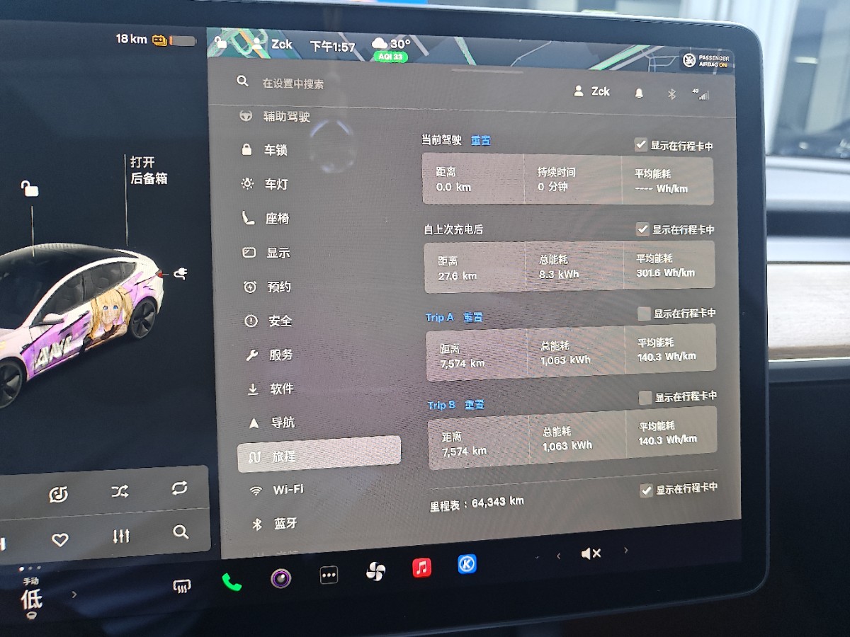 Tesla Model 3 2021 car image #13