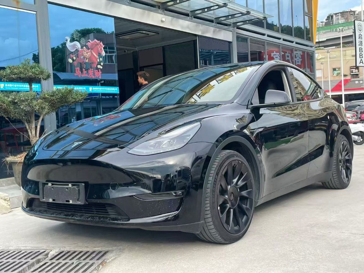 Tesla Model Y 2022 Tesla Model Y 2022 car image