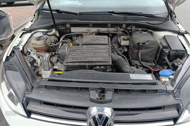 Volkswagen Golf 2017 car image #22