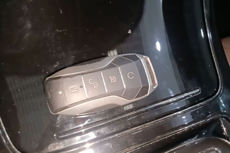 BYD Han 2022 immagine di auto #9