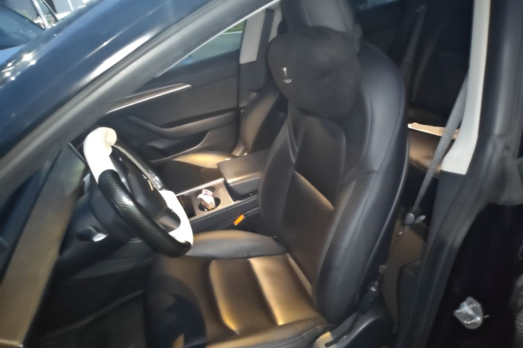 Tesla Model 3 2021 #15 Tesla Model 3 2021 car image #15