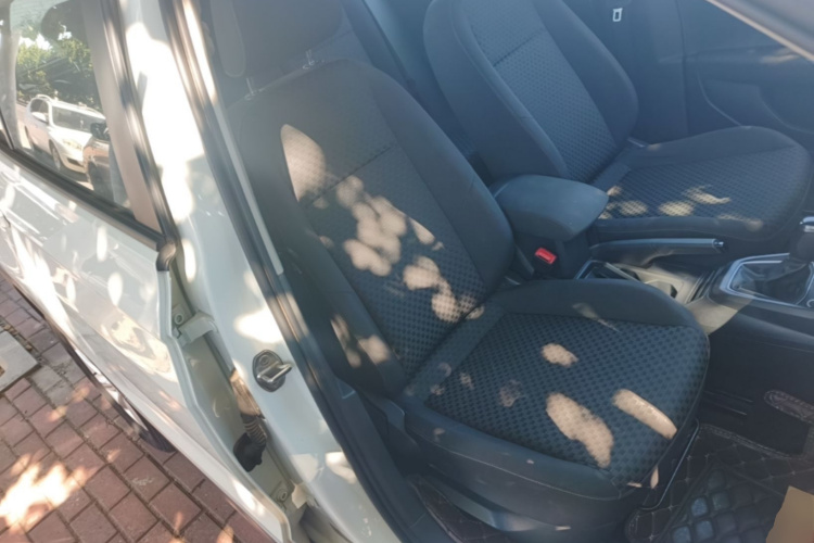 Volkswagen Tacqua 2023 immagine di auto #24