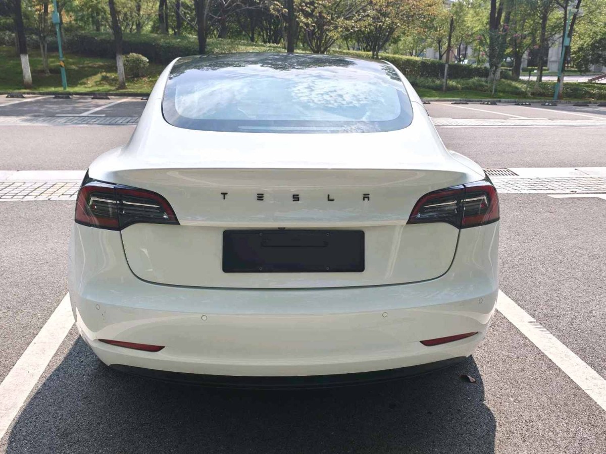 Tesla Model 3 2022 #8 Tesla Model 3 2022 car image #8