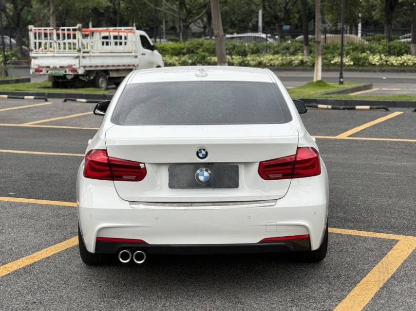 BMW 3 Series 2018 car image #10