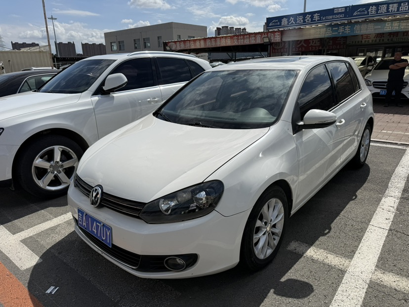 Volkswagen Golf 2010 Volkswagen Golf 2010 car image