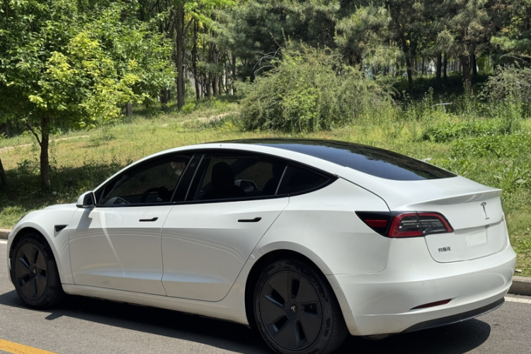 Tesla Model 3 2021 #4 Tesla Model 3 2021 car image #4