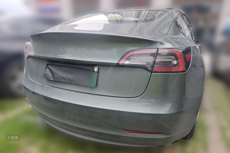 Tesla Model 3 2021 car image #6