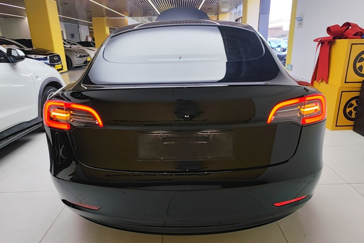 Tesla Model 3 2022 изображение автомобиля #6