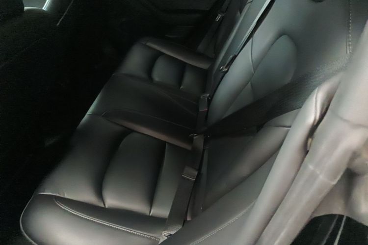 Tesla Model 3 2021 car image #17