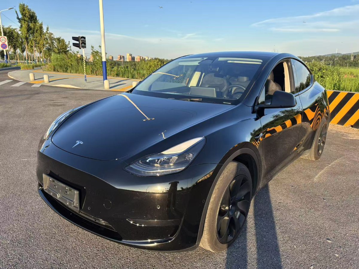Tesla Model Y 2023 Tesla Model Y 2023 car image