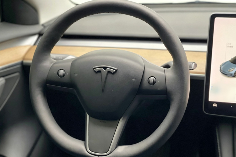 Tesla Model 3 2021 car image #19