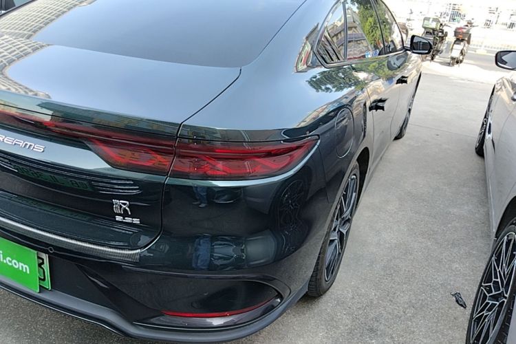 BYD Han 2022 #8 BYD Han 2022 immagine di auto #8