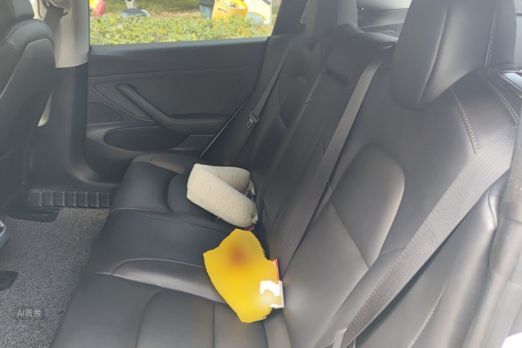 Tesla Model 3 2020 immagine di auto #19