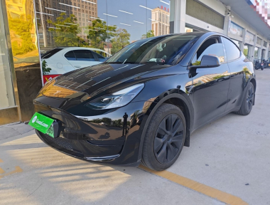 Tesla Model Y 2023 Tesla Model Y 2023 car image