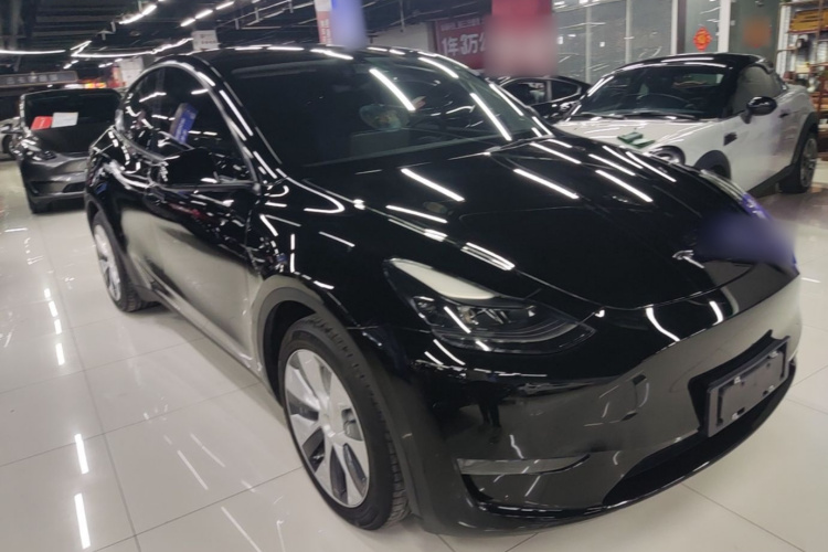 Tesla Model Y 2021 car image #4