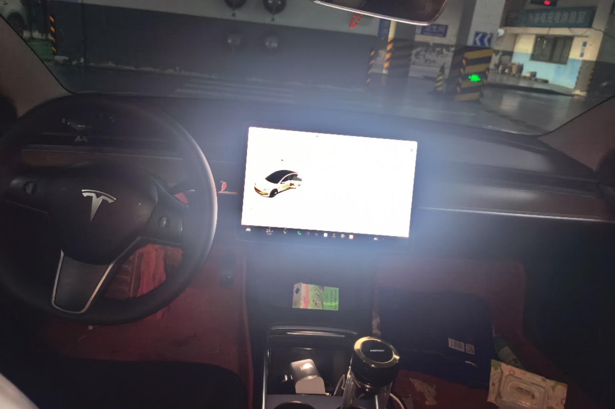 Tesla Model 3 2021 immagine di auto #6