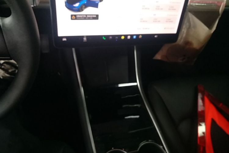 Tesla Model 3 2020 car image #14