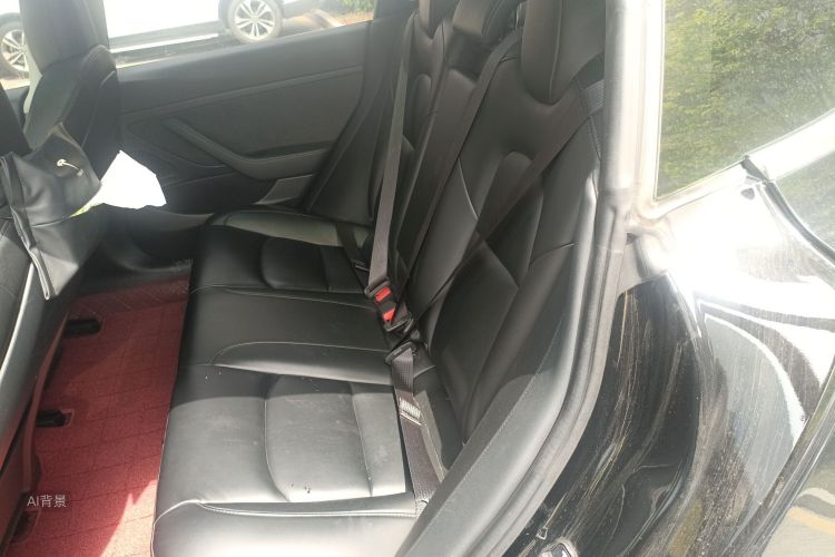 Tesla Model 3 2020 car image #19