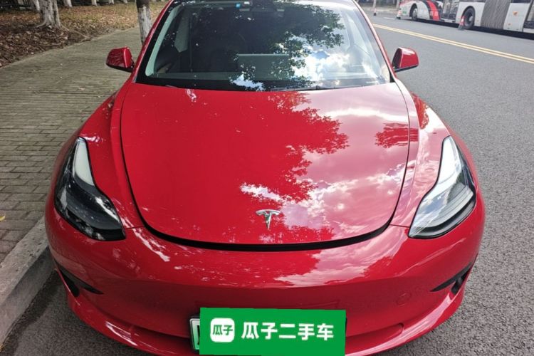 Tesla Model 3 2021 #3 Tesla Model 3 2021 car image #3