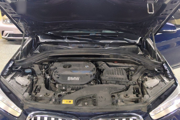 BMW X1 New Energy 2020 car image #20