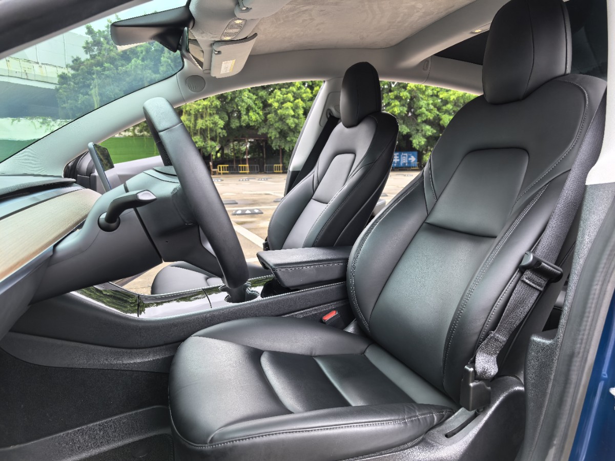 Tesla Model 3 2020 car image #5