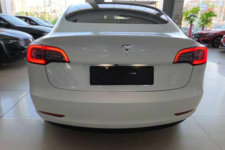 Tesla Model 3 2021 #4 Tesla Model 3 2021 car image #4