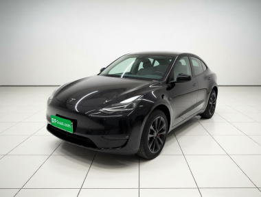 Tesla Model Y 2023 Tesla Model Y 2023 car image