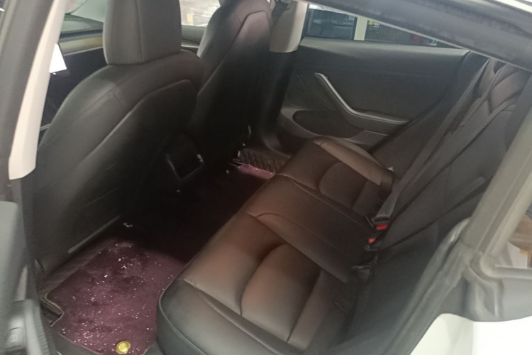 Tesla Model 3 2021 car image #17