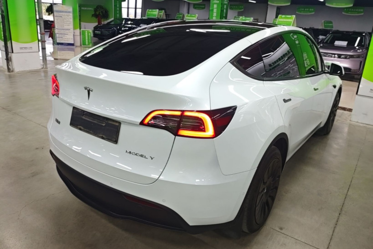 Tesla Model Y 2023 #7 Tesla Model Y 2023 car image #7