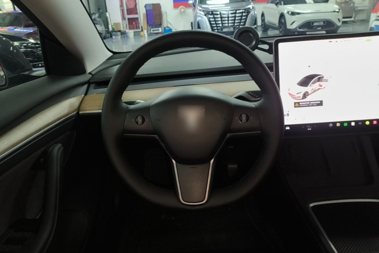 Tesla Model 3 2021 car image #15