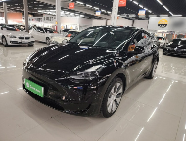 Tesla Model Y 2023 Tesla Model Y 2023 car image
