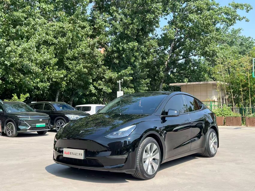 Tesla Model Y 2022 car image 