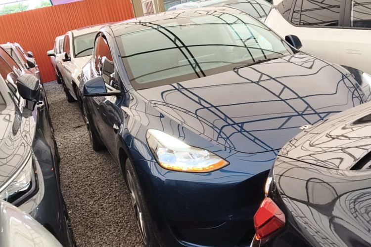 Tesla Model Y 2023 #6 Tesla Model Y 2023 car image #6