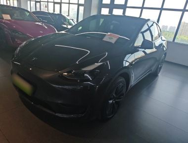 Tesla Model Y 2024 Tesla Model Y 2024 car image