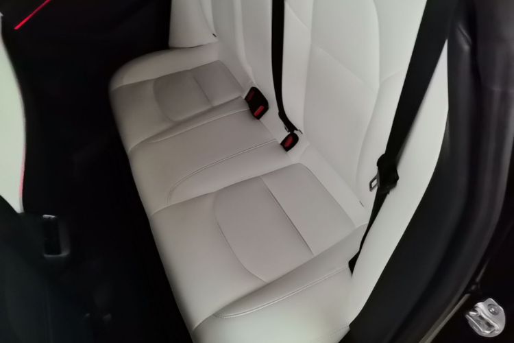 Tesla Model 3 2022 car image #17