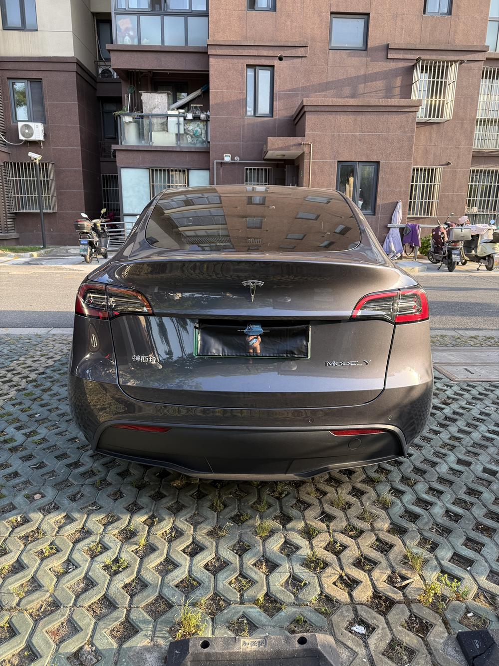 Tesla Model Y 2023 #4 Tesla Model Y 2023 car image #4