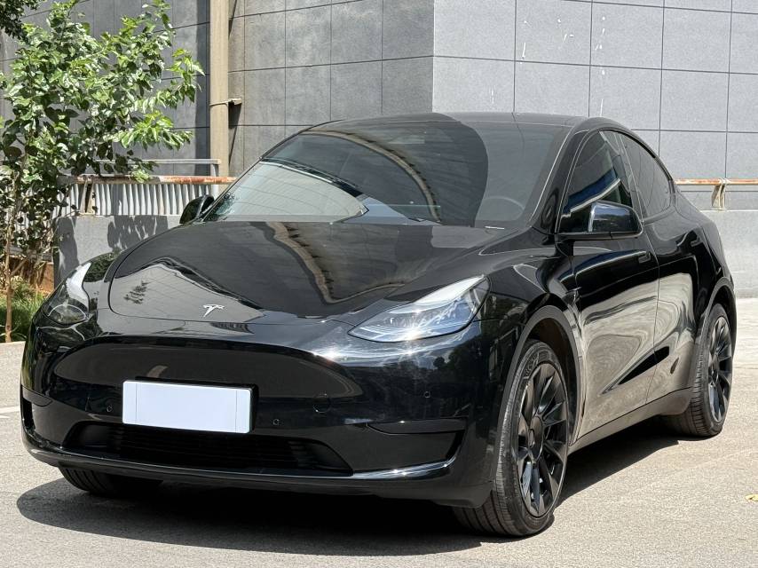 Tesla Model Y 2024 Tesla Model Y 2024 car image