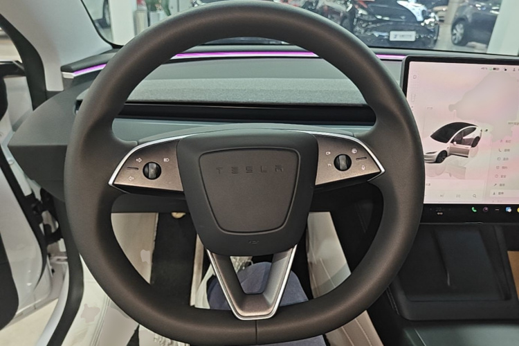 Tesla Model 3 2024 immagine di auto #11