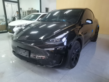 Tesla Model Y 2023 Tesla Model Y 2023 car image
