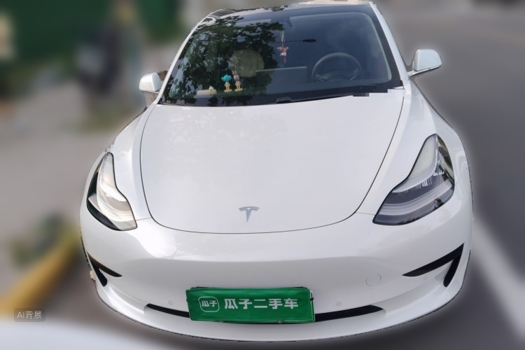 Tesla Model 3 2020 #3 Tesla Model 3 2020 car image #3