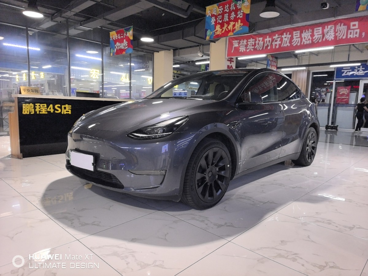 Tesla Model Y 2021 car image 
