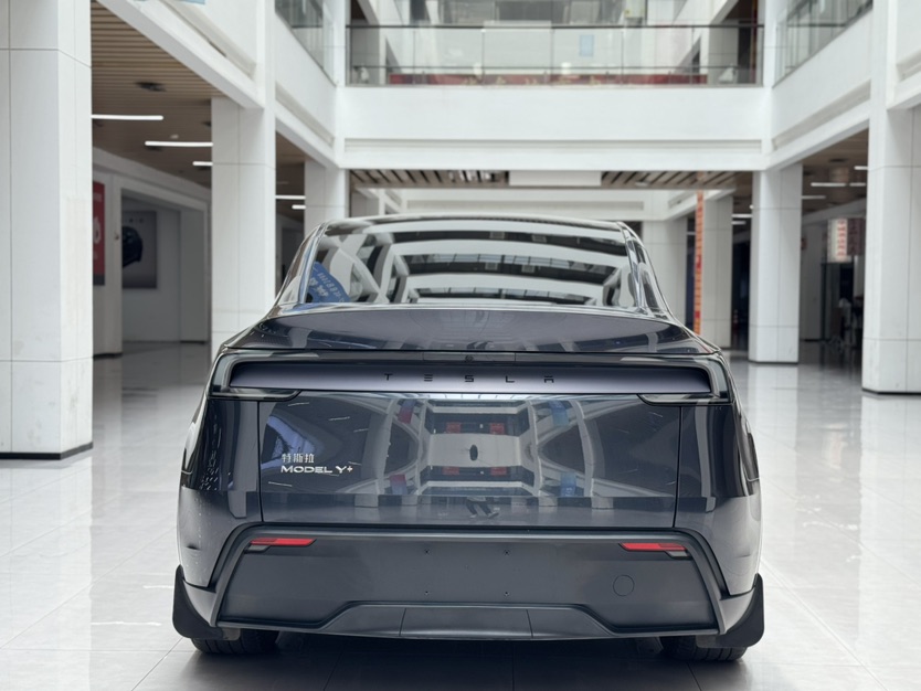 Tesla Model Y 2025 car image #6