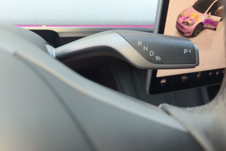 Tesla Model Y 2024 car image #14