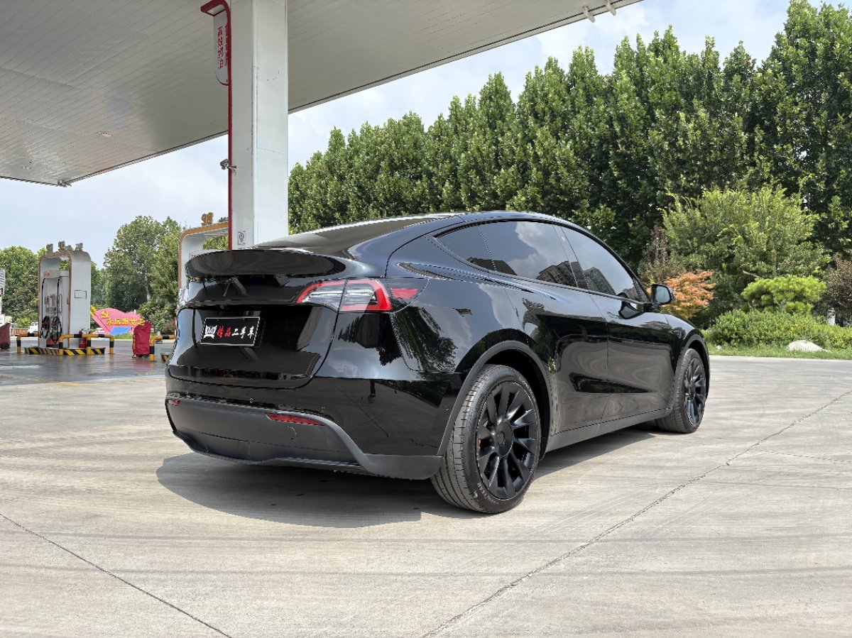 Tesla Model Y 2021 car image #9