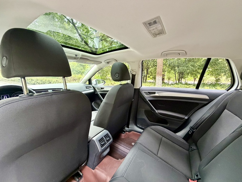 Volkswagen Golf 2019 imagen de coche #7