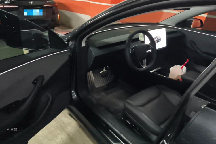 Tesla Model 3 2025 car image #18