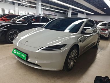 Tesla Model 3 2024 car image 