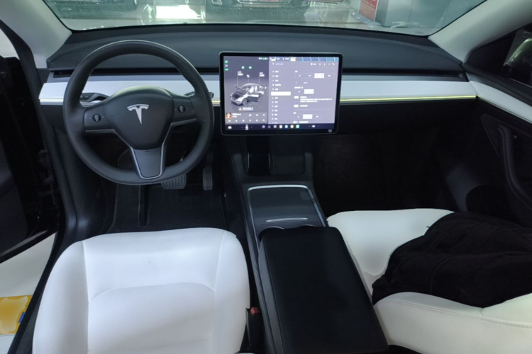 Tesla Model Y 2023 car image #10